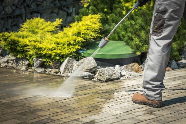 Best Spring Cleaning  in New Prague, MN