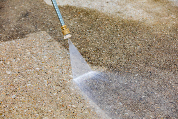Best Sidewalk and Walkway Cleaning  in New Prague, MN